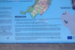 4787 11-1 info board