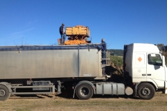 4802 11-1 orange harvest