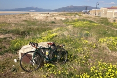 4846 14-1 bike beach