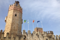 2238 27-10 flags