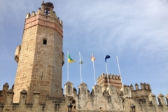 2239 27-10 flags