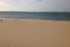 2288 28-10 beach