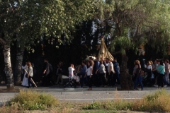 2456 2-11 procession