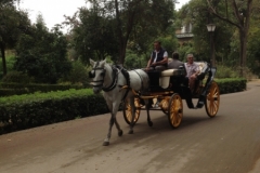 2495 4-11 horse drawn carriage