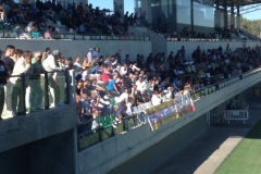 2559 6-11 betis match