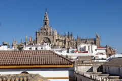 2596 6-11 skyline