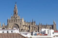 2597 6-11 skyline