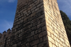 2605 6-11 plaza de trunfo