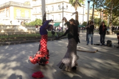 2613 6-11 flamenco