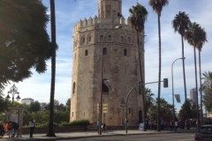 2616 6-11 tower