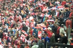 2646 6-11 Sevilla CF