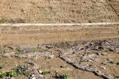2687 7-11 pathway