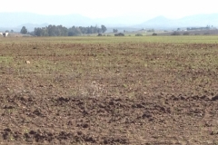 2700 7-11 field
