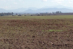 2701 7-11 field