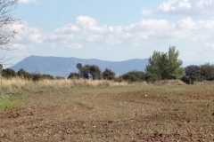 2706 7-11 field