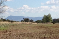2707 7-11 field