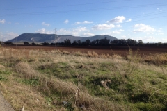 2716 7-11 view