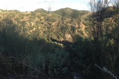 2725 7-11 hills