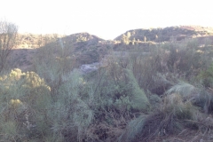2726 7-11 hills