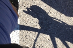 2754 8-11 shadow
