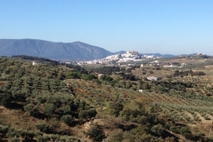 2758 8-11 view