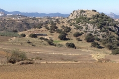 2760 8-11 view