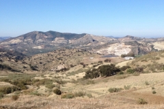 2762 8-11 view