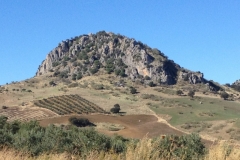 2764 8-11 view