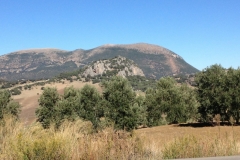 2765 8-11 view