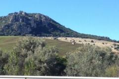 2769 8-11 view