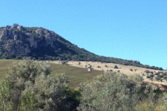 2770 8-11 view