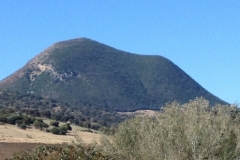 2771 8-11 view