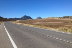 2776 8-11 road view