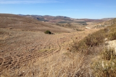 2793 8-11 view