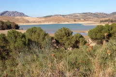 2806 8-11 lake view