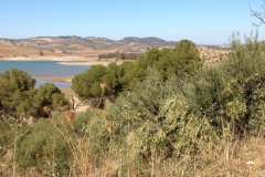 2807 8-11 lake view