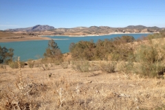 2809 8-11 lake view