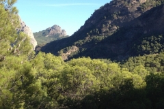 2813 8-11 view
