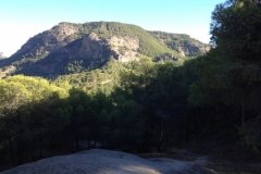 2814 8-11 view