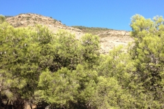 2819 8-11 view
