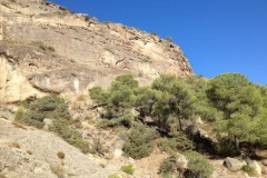 2822 8-11 cliff view