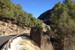 2823 8-11 view