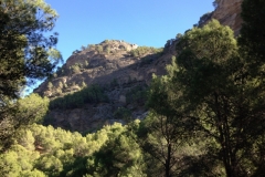 2824 8-11 view