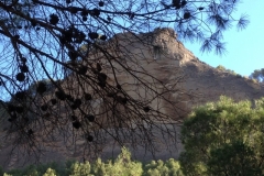 2826 8-11 view