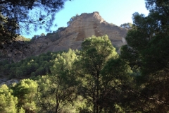 2829 8-11 view