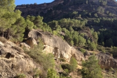 2838 8-11 view