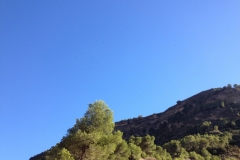 2841 8-11 view
