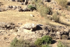 2842 8-11 ibex view