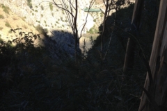 2843 8-11 view