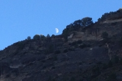 2863 8-11 cliff moon